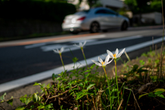 マイクロフォーサーズと向き合う（続き）