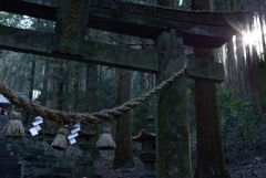 かみしきみくまのいます