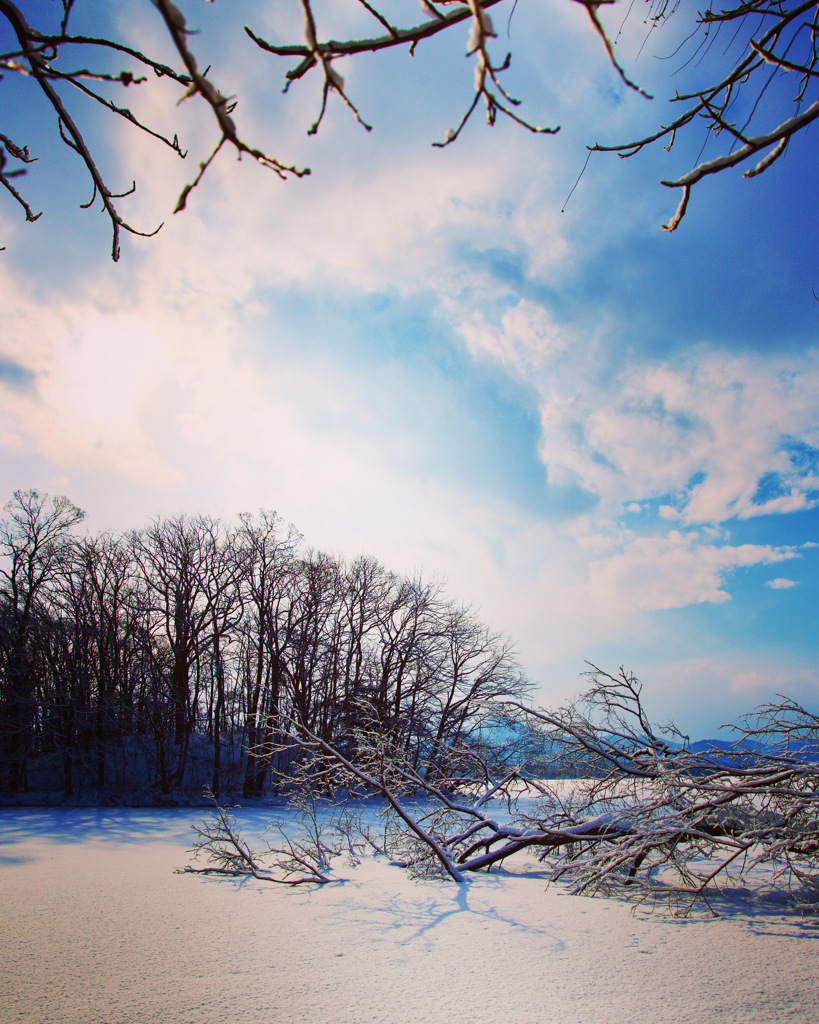 彩　雪Ⅰ