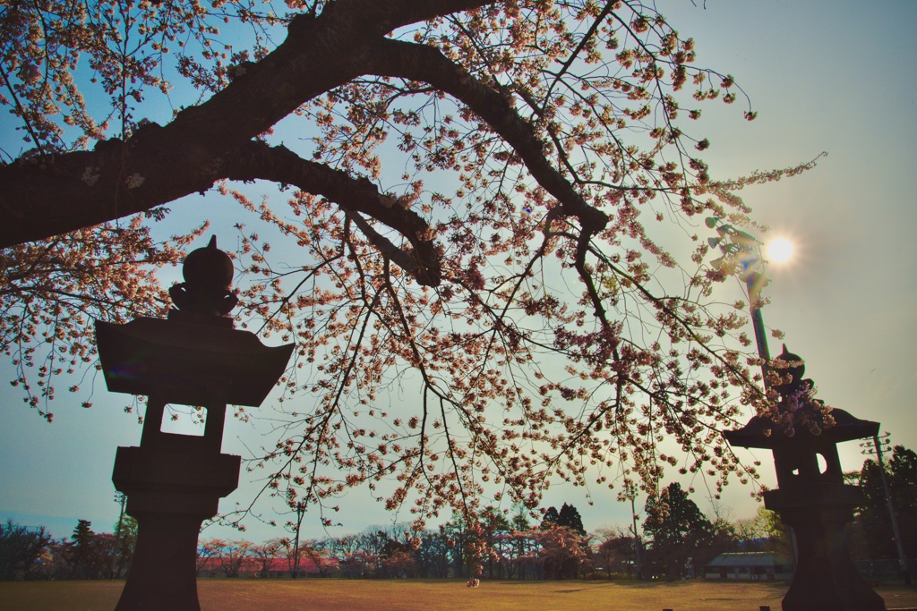 彩　気Ⅵ