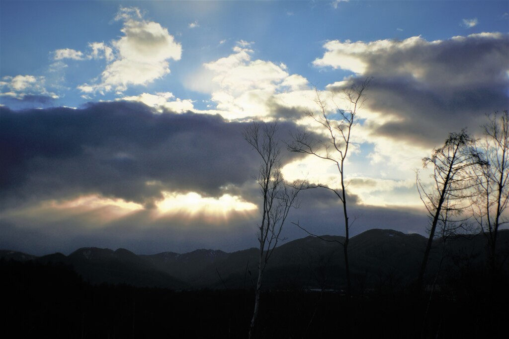 雲　照Ⅱ