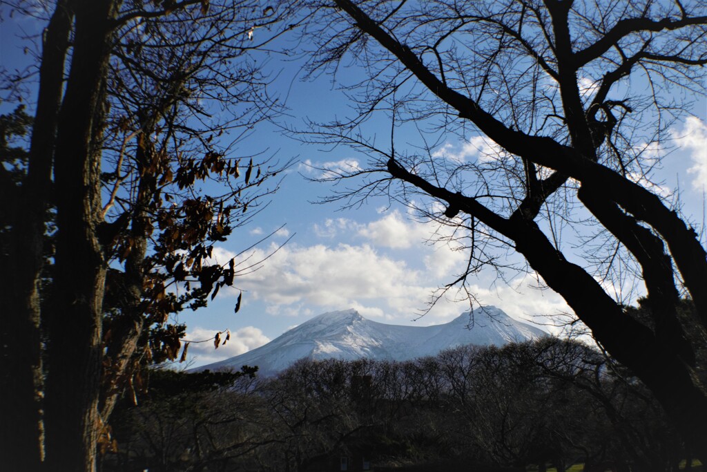 駒ヶ　峰Ⅱ
