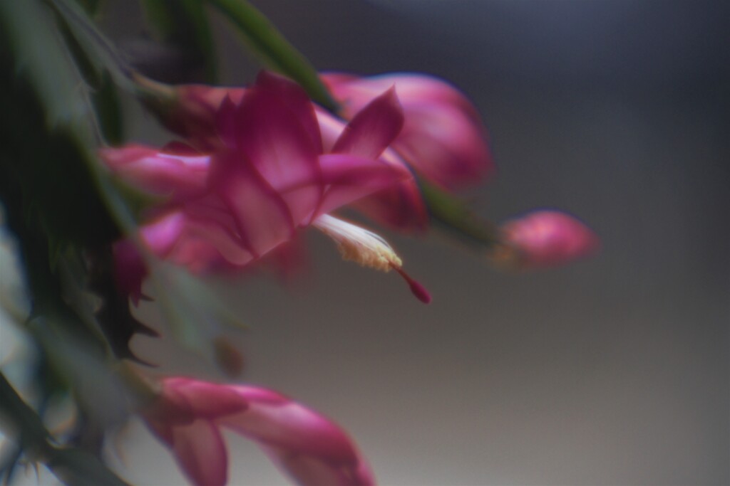 窓　際Ⅰ