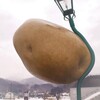 味　展Ⅰ