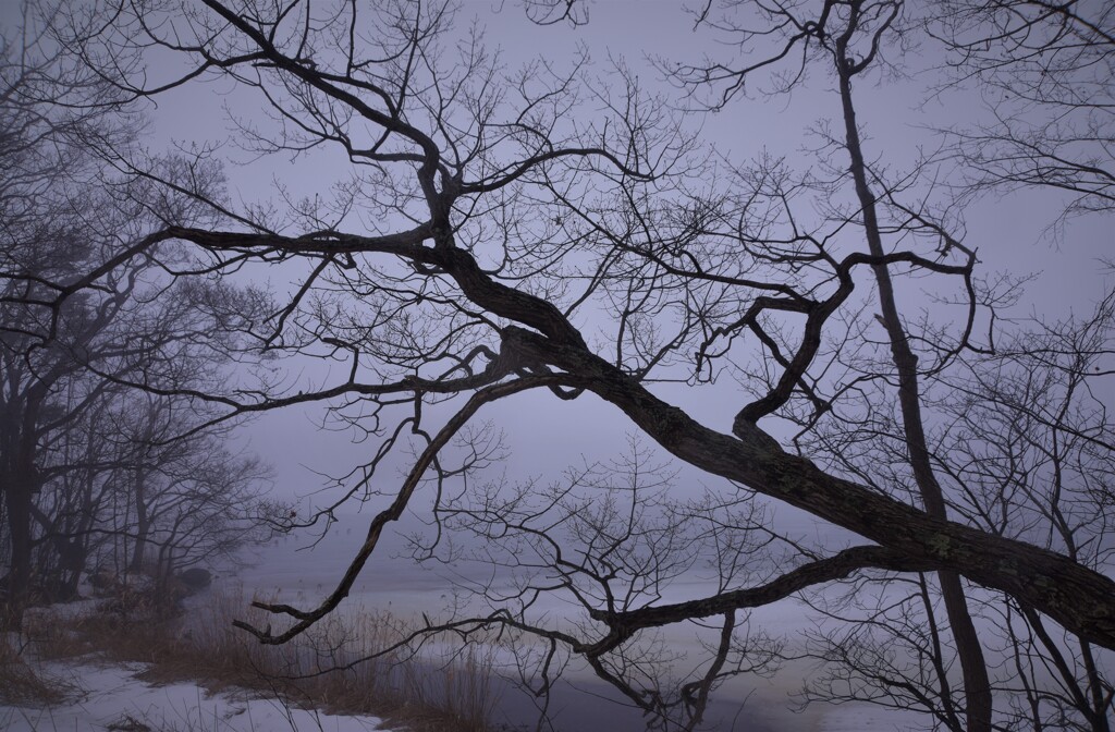 霧　映Ⅲ
