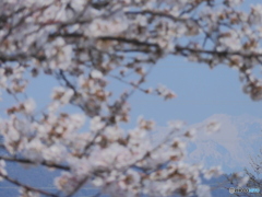 山