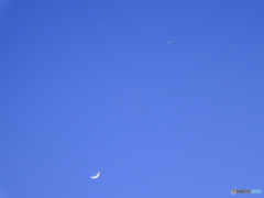月と金星