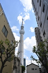 スカイツリー