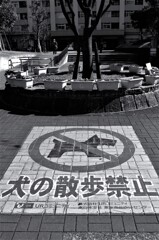 L1071513 