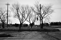 L1071571 