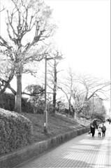 L1071543 