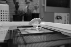 水の中