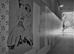 DSCF5953 