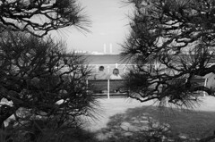 L1071492 