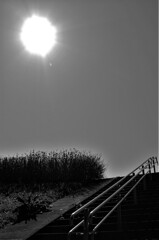 L1071608 