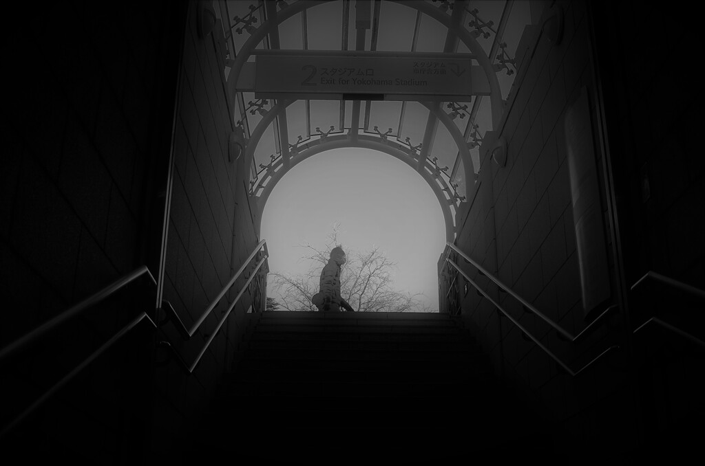 L1071435 