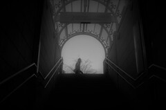 L1071435 