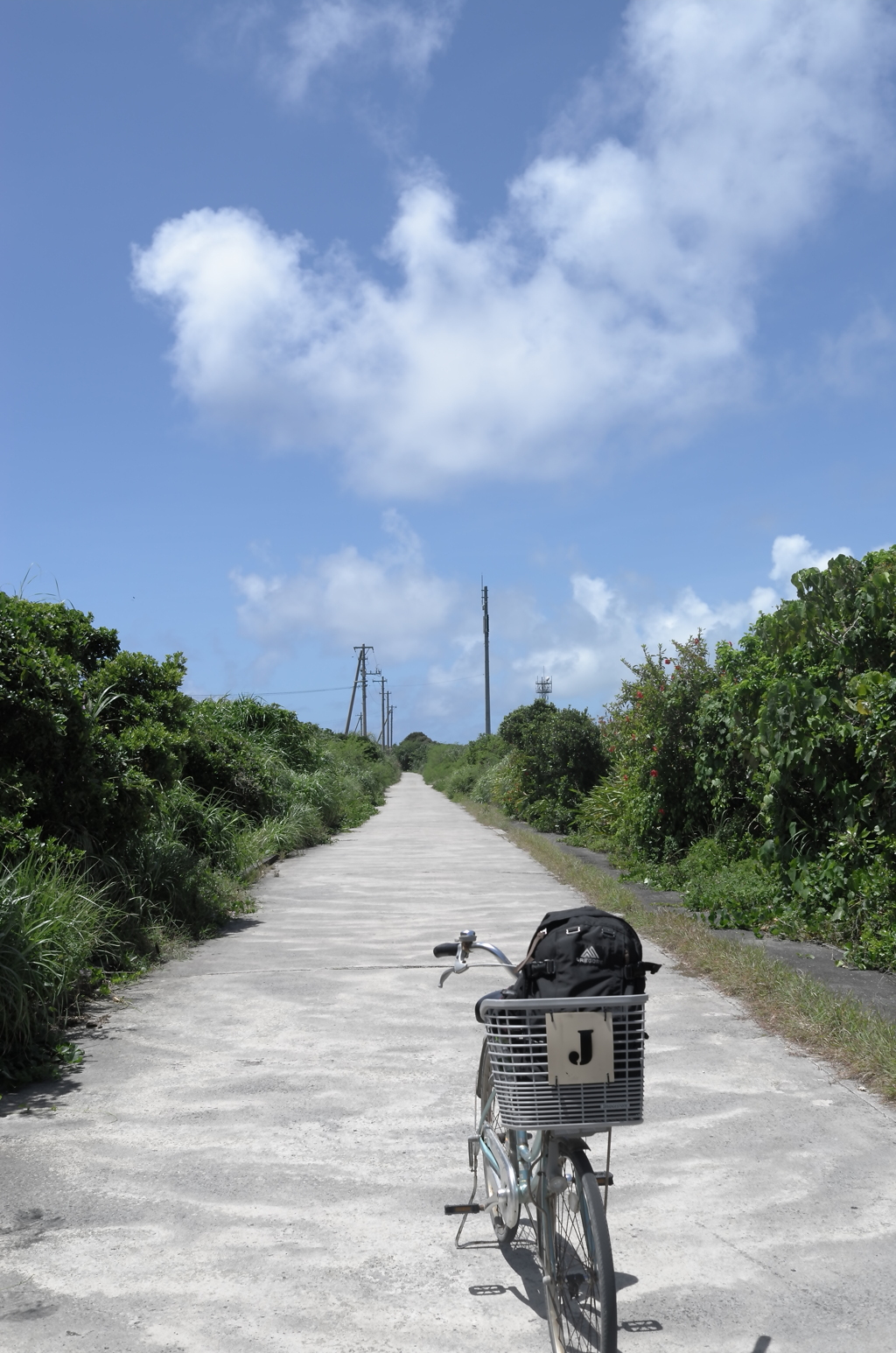 レンタル自転車で