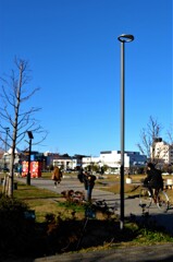 L1071565 