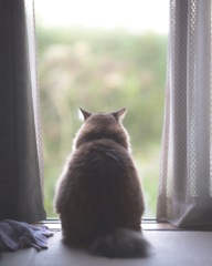 外の世界