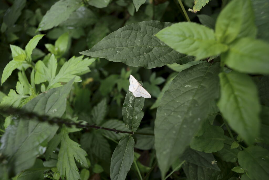 _DSC2505_00001