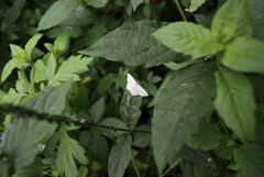 _DSC2505_00001