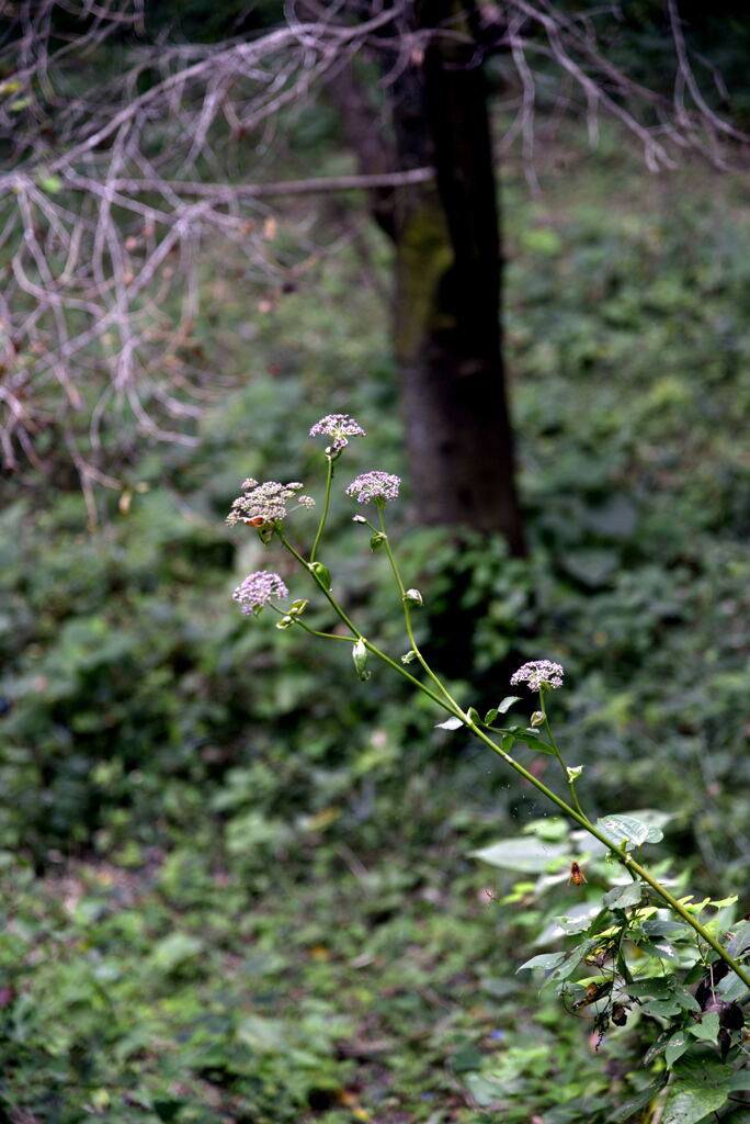 _DSC2499_00001