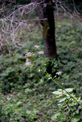 _DSC2499_00001