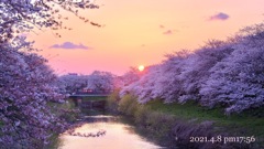 外に出たら目の前にこの景色♪