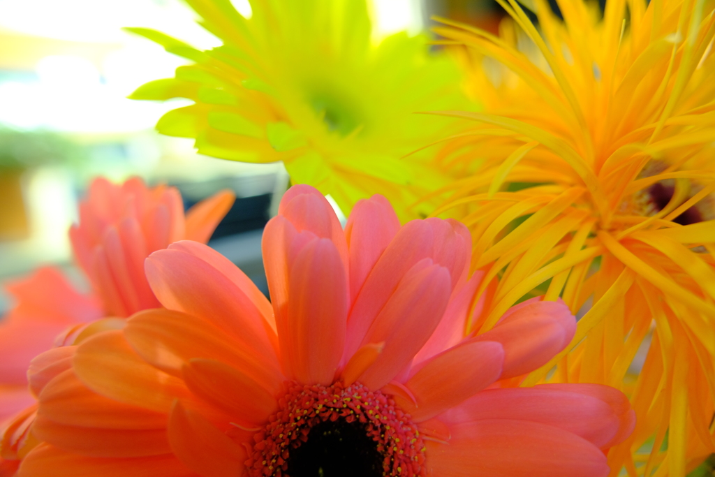 DSCF0724