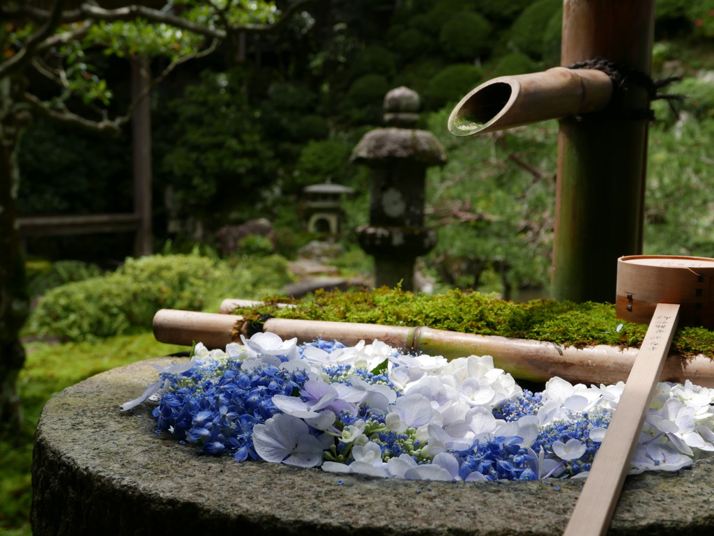 楊谷寺にて　その2