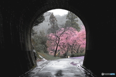 意識