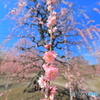 おじゃまします