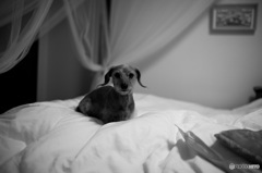 AF99A7EA-A777-4B41-9984-0EEDD62C7469