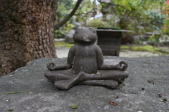 カエルの坐禅