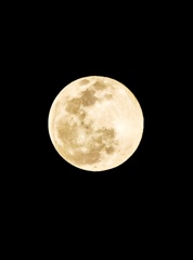 IMG_brrwje