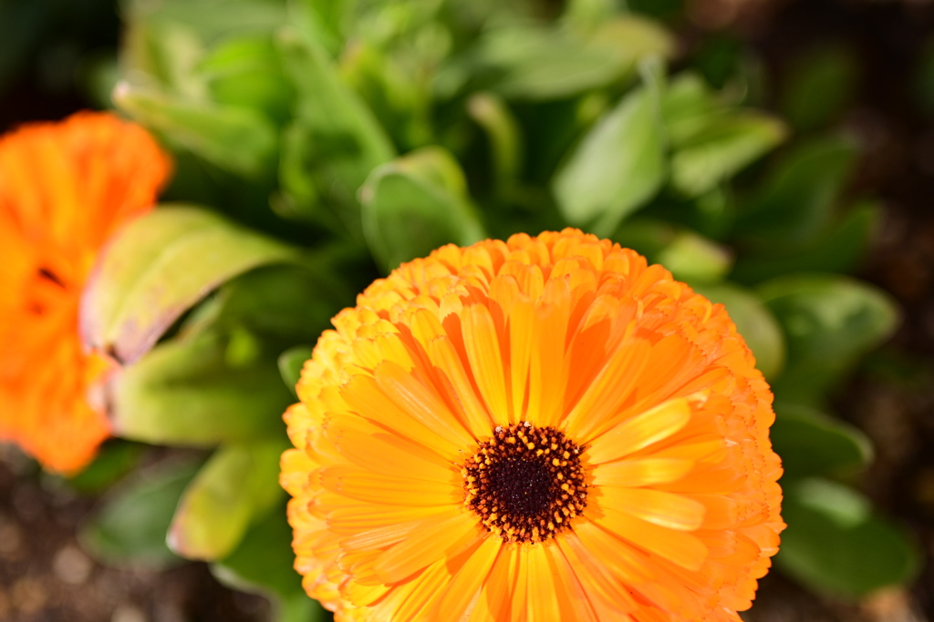 C691938B-70CF-4ABB-BAE8-7D877336D11C