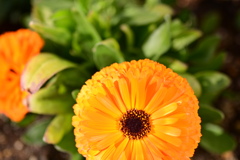 C691938B-70CF-4ABB-BAE8-7D877336D11C