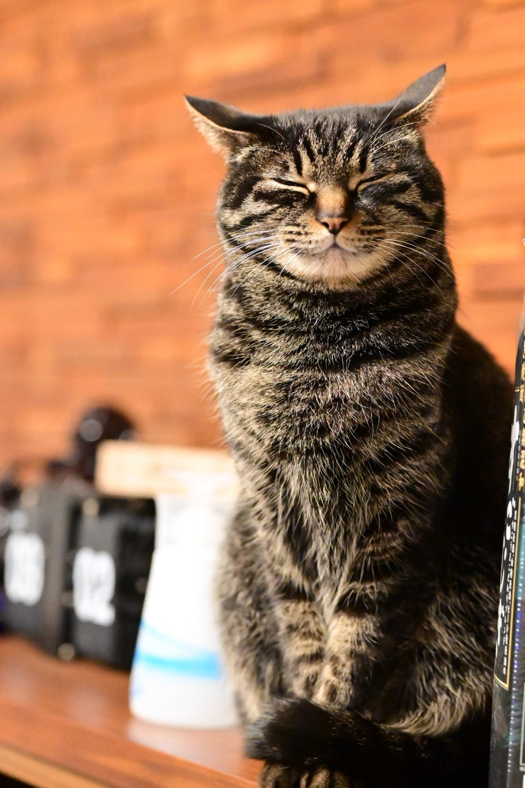 04F9494F-8C90-41BC-B589-8BF5429E0439