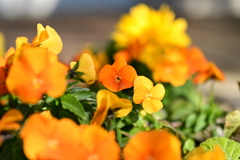 B82C5B82-B345-458B-BB9D-AD0F0495494E