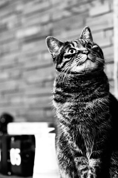 A766917B-7F8C-4544-B843-C968F240A904