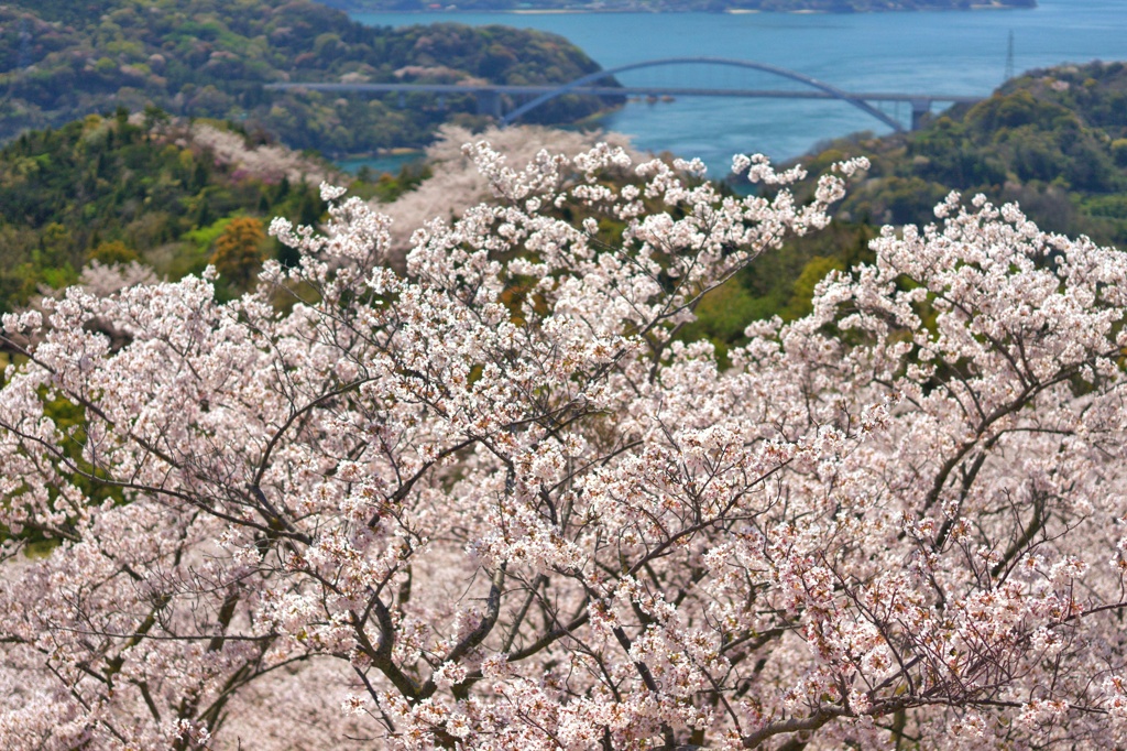 伯方島開山からの大三島橋