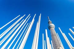 のっぽ対決