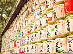 酒樽