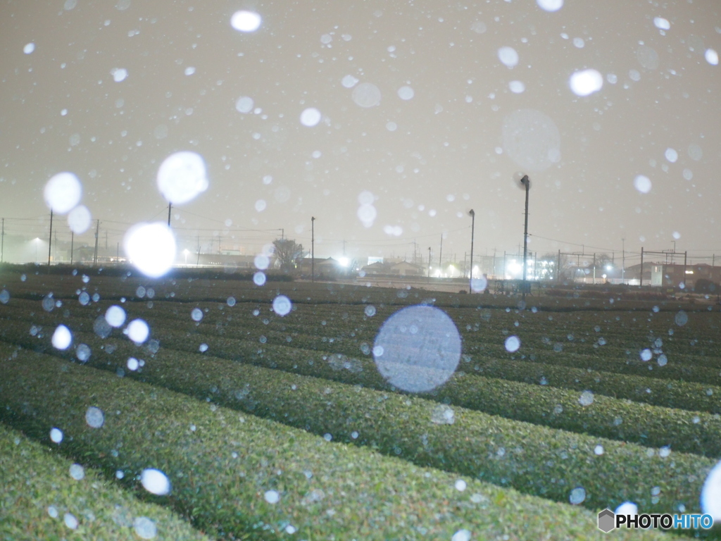 初雪④