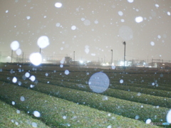 初雪④