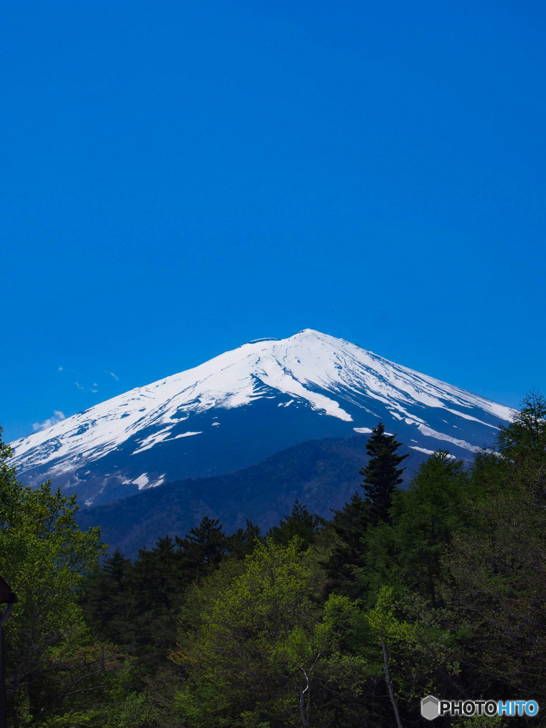 富士やま