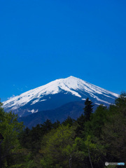 富士やま
