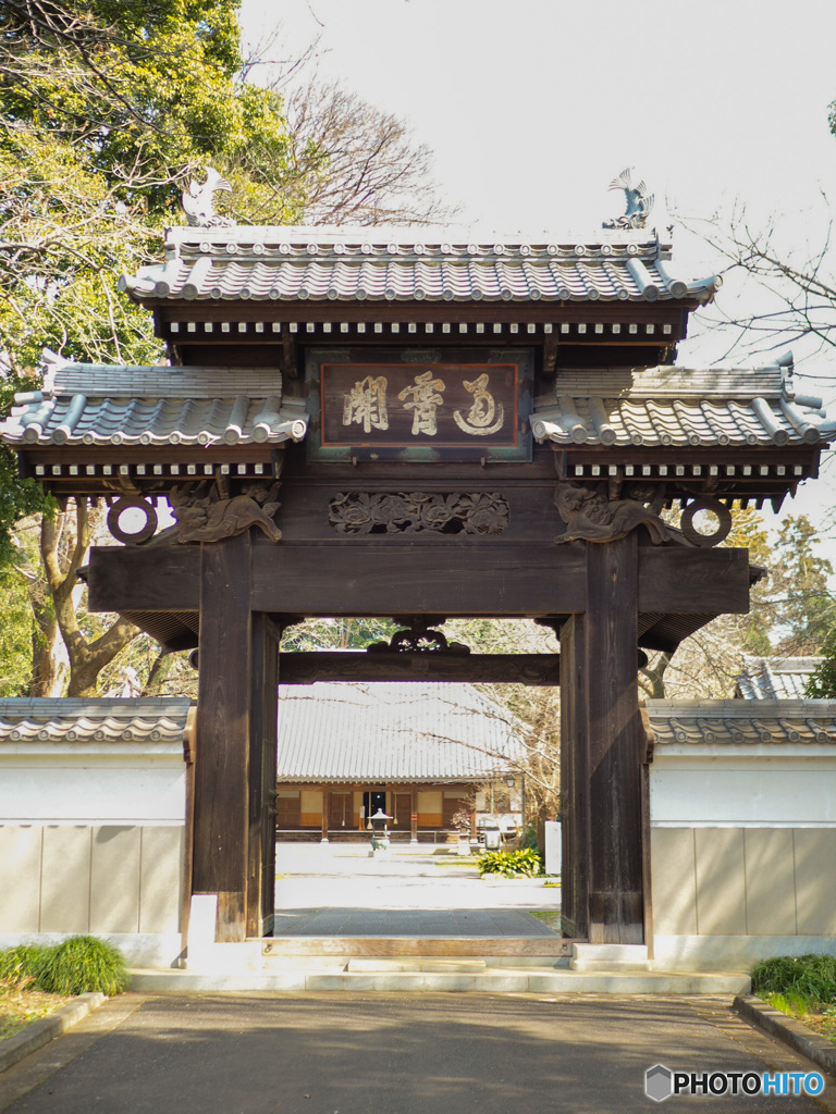 近所のお寺さん