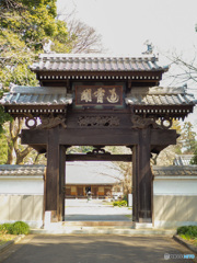 近所のお寺さん